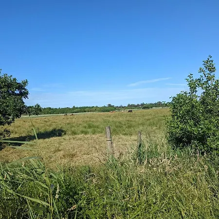 Luxury Retreat With - By Traum *